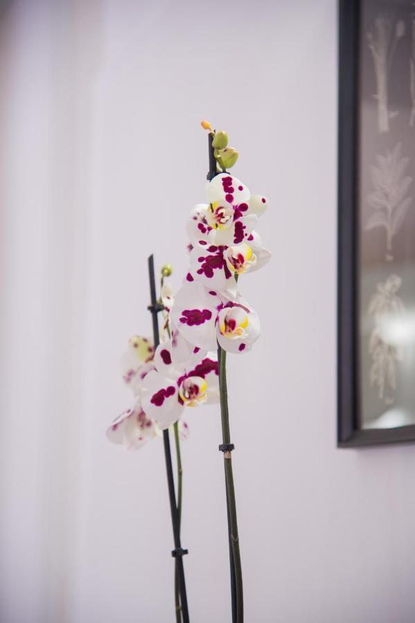 Palazzo Del Golfo Apartment เนเปิลส์ ภายนอก รูปภาพ